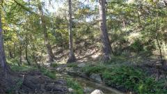 criders_buffalo_creek_9457